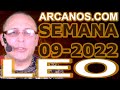 Video Horscopo Semanal LEO  del 20 al 26 Febrero 2022 (Semana 2022-09) (Lectura del Tarot)