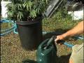 Medical Marijuana Cultivation 101: part 2 of 2