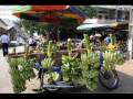 Anuksavory Battambang ~ Khemarak Sereymon
