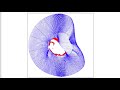 3MIN News June 18, 2013: Alfvén Waves from Coronal Holes