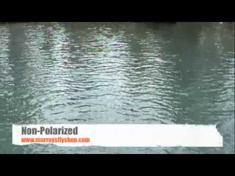 oakley holbrook polarized vs non polarized oakley holbrook polarized vs non polarized