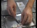 In.essentia: cappasanta di calamaro con insalata di finocchi e salsa cremosa di scampo