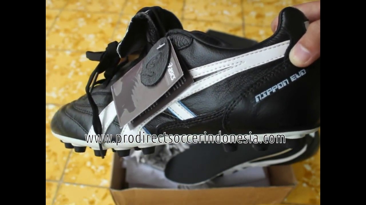 asics nippon evo ag