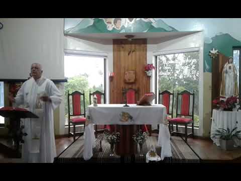 Santa Missa | 12.01.2023 | Quinta-feira | Padre José Alem | ANSPAZ