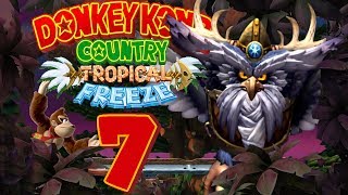 Let's Play Donkey Kong Country Tropical Freeze Part 7: Krow wurde zur Eule