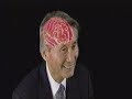 The Secret of Brain Wave Vibration
