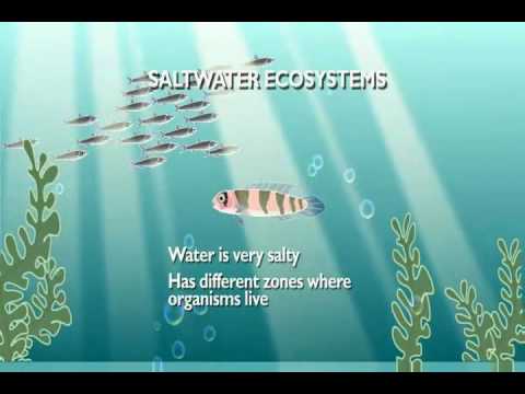 Aquatic Ecosystems
