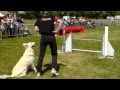 Trophée par Equipe 2ème manche Jumping