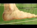 Thumbnail 2 for How To Trim Toenails Thumbnail 2 for How To Trim Toenails