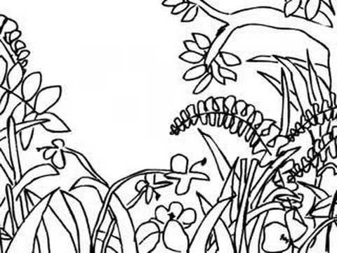 Drawing a Jungle Scene - YouTube