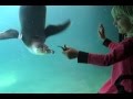Karma the Penguin Gets Playful at the Santa Barbara Zoo Karma the Penguin Gets Playful at the Santa Barbara Zoo