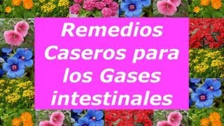 Remedios Caseros para la Flatulencia o Gases intestinales. ( Muy Interesante )