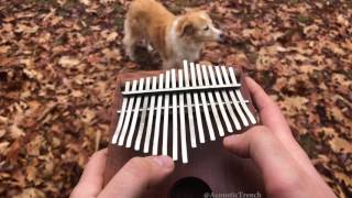 Blink-182 - All The Small Things (Cover On A Kalimba)