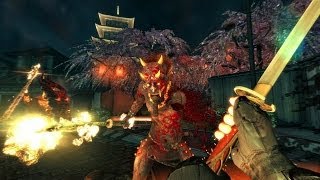 Shadow Warrior Review (german)