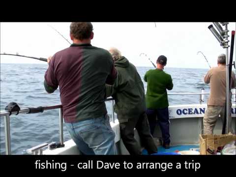 Eastbourne Charter Fishing