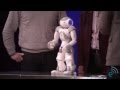 Nao the Amazing Robot