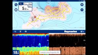Видео обзор Raymarine Dragonfly-5 PRO (CHIRP эхолот с GPS навигатором)