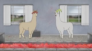 Llamas with Hats 6