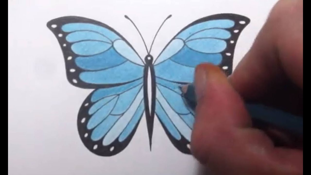 drawing easy butterfly draw cute butterflies drawings pencil flowers step beginners papillon looking dessiner