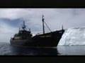 Operation Migaloo - 2007/08 - Sea Shepherd Whale Defense