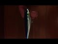 DealExtreme - Lifelike Fish Style Fishing Bait with Treble Hooks - Blue + Sliver