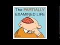 Partially Examined Life podcast - Wittgenstein - Philosophical Investigations - Part 1
