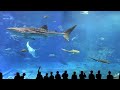 100 min Classical Music