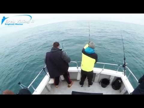 Pollock Fishing on the Deep Sea Wrecks - Grey Viking - Brighton