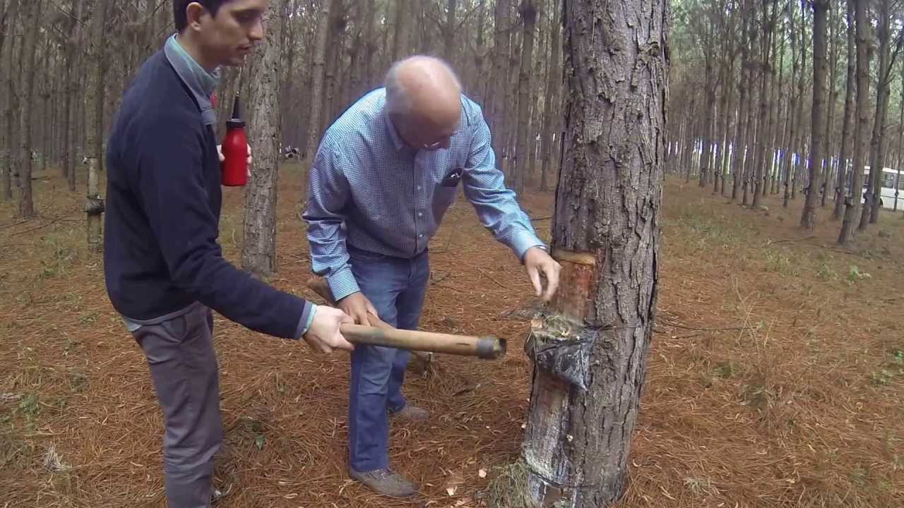 maxresdefault.jpg