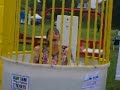 Birchcliff family fair 2010 026.avi