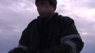 WHALE HUNT