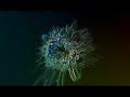 DJ Mix With Visuals! Agent Foley - Electronic Vibes 1 House Dubstep Progressive 2012