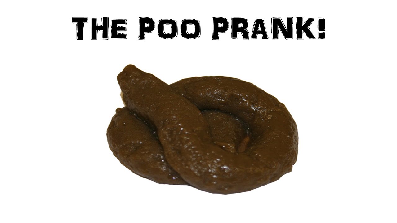 hide a poo prank box