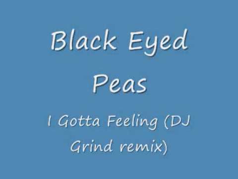 black eyed peas i gotta feeling remix