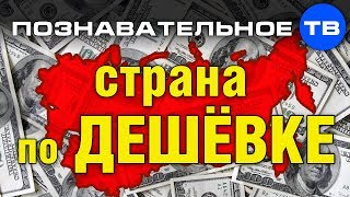 Николай Стариков: Страна по дешёвке (Познавательное ТВ, Николай Стариков)