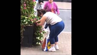 TheJournal.ie: Woman robbing flowers from Dublin city centre display