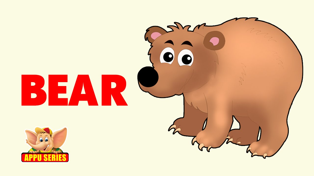 Animal Facts - Bear - YouTube