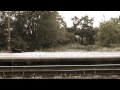 Pam 23. rész - Az Utolsó Kutya