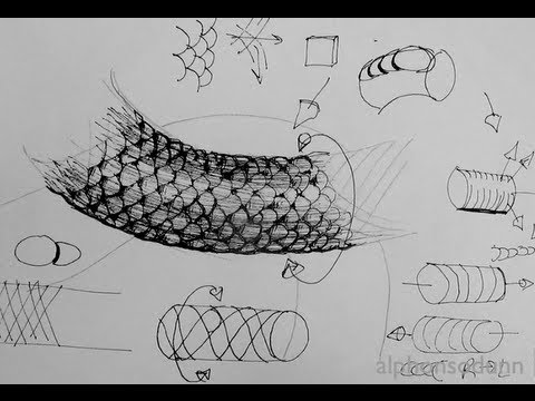 Pen & Ink Drawing Tutorials | How to draw realistic scales on fish