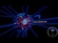 Neurone - partie 2