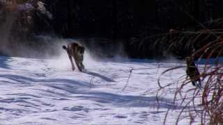 Cheetah Savanna and Dog Max Play in Snow - Cincinnati Zoo