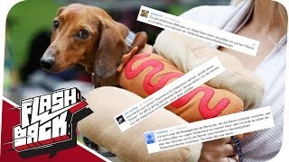 Hunde sind auch Essen & Dornen für Ordnung! - FLASH BACK