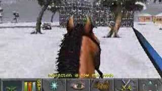 Daggerfall Gameplay Hours