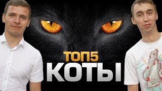 ТОП5 Пород КОТОВ