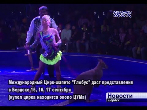 Международный цирк-шапито «Глобус» впервые прибыл в Бердск Международный цирк-шапито «Глобус» впервые прибыл в Бердск