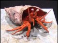 Top 10 Hardest Origami