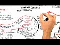 RSA Animate - The Empathic Civilisation
