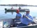 Dicas da pesca de Piaparas na rodadinha e como iscar o filé de Salmão