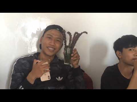 Young Tea Coffee - Funny Food