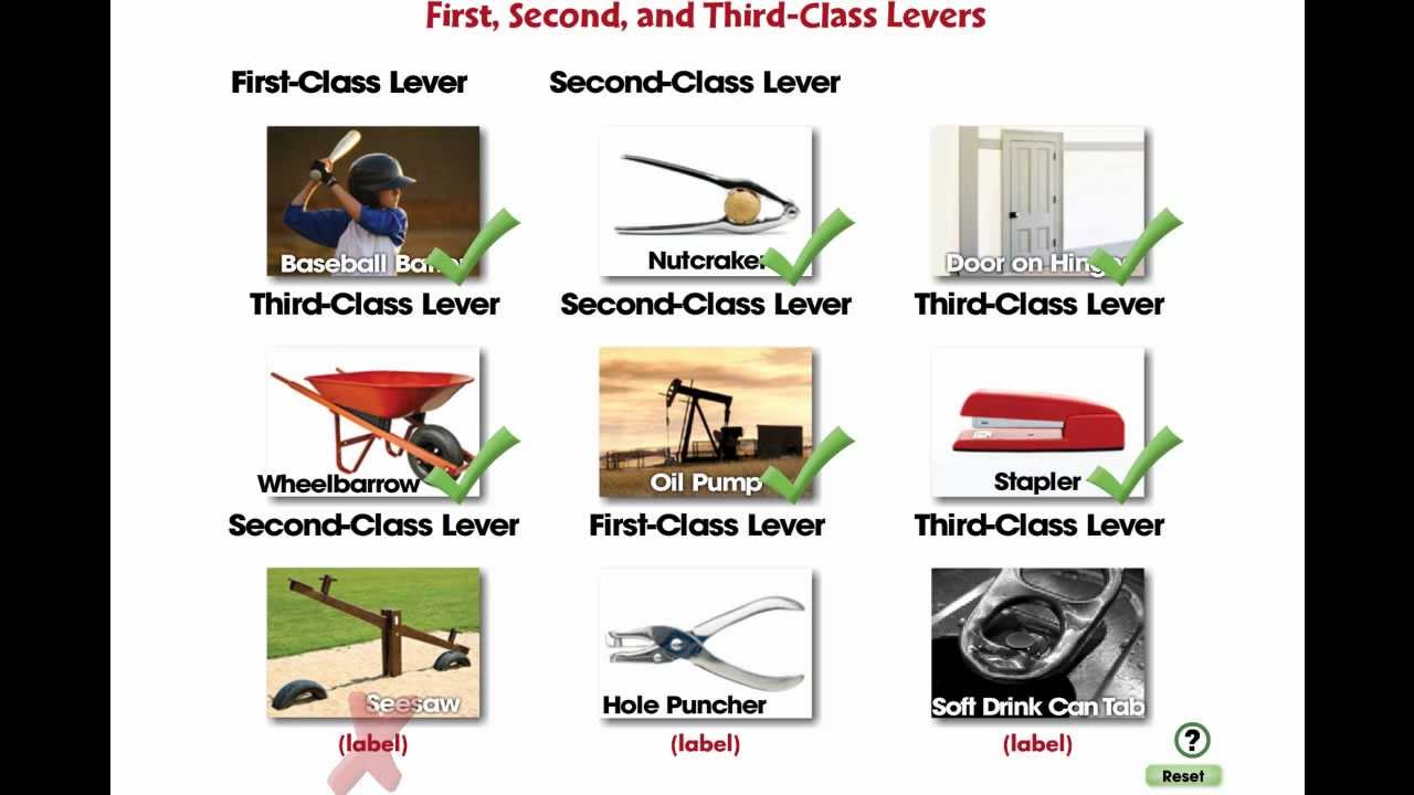 CC7555 Simple Machines: First, Second, and Third Class Levers Mini
